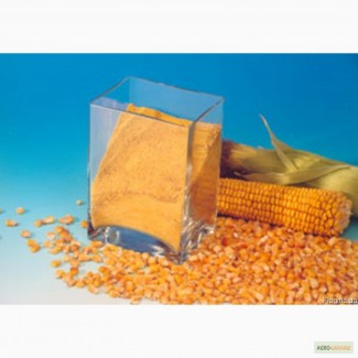 Продам Глютен кукурузный