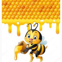 Закупаем мед подсолнечника урожая 2017 г, Днепр, Днепропетровская обл