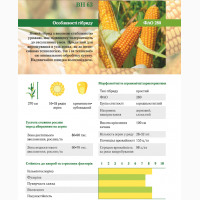 Семена кукурузы ВН 63 (ФАО 280) ВНИС