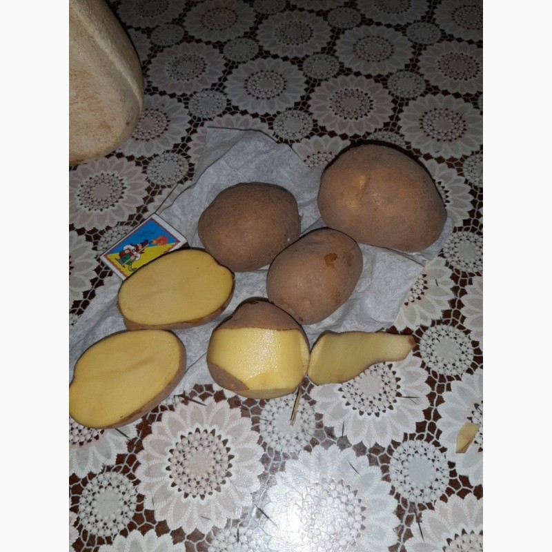 Фото 13. Продам картоф сорт Гренада после щетки шит сетка калибр