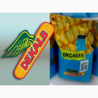Семена кукурузы ДКС 4685 (ФАО 340) /Монсанто
