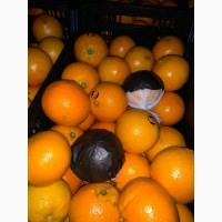 Продам апельсини Іспанія