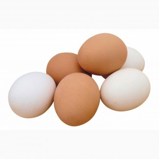 Продам органічні яйця (власне господарство)