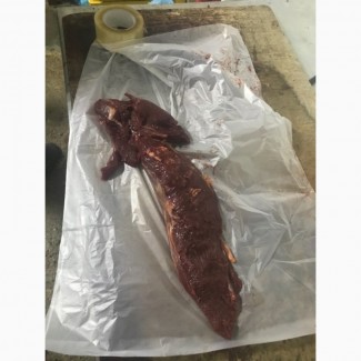 Продам вирізку кінську ( яловичина свинина)