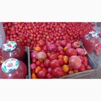 Помидоры и томатный сок с доставкой в Харьков