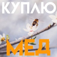 Купуємо МЕД ОПТОМ у Вінницькій області