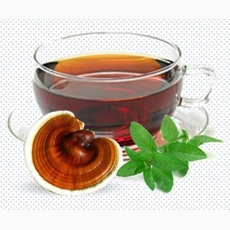 Цілющий чай з лікувальних трутовиків для профілактики і лікування онко