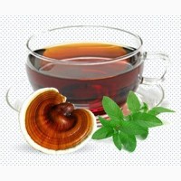 Цілющий чай з лікувальних трутовиків для профілактики і лікування онко