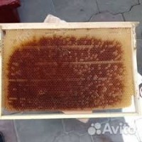 Продам Бджолина суш (Пчелиная сушь)