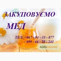 Закупаем МЕД в неограниченном кол-ве