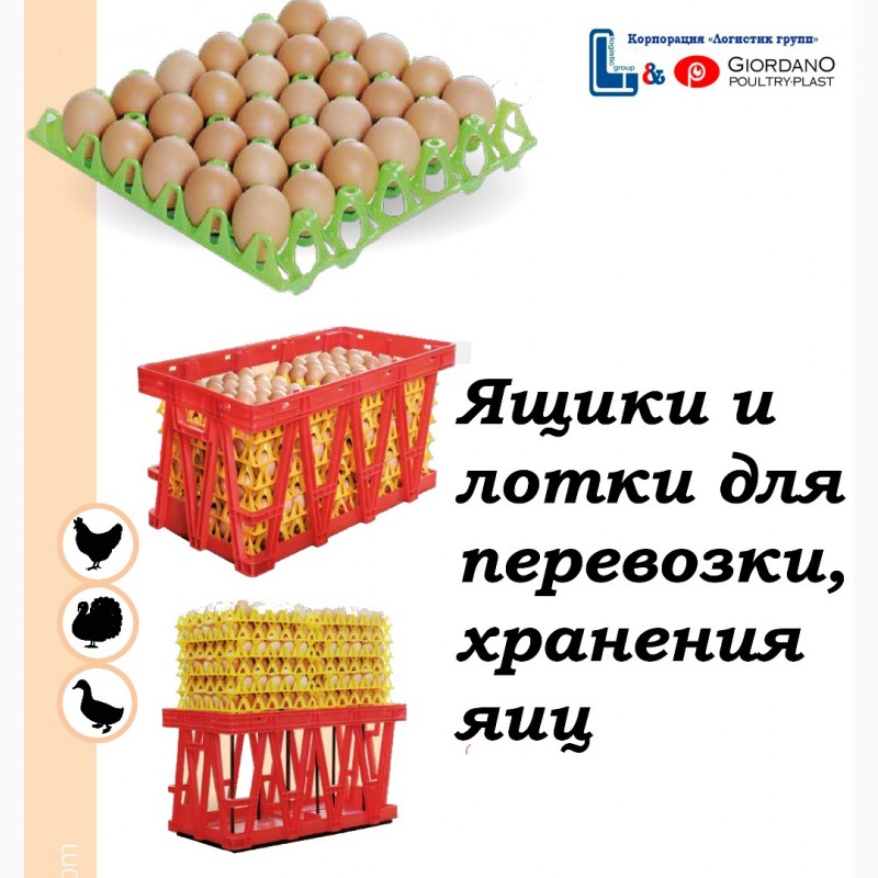 Фото 7. Фиксирующая прокладка (дивайдер) для перевозки яиц