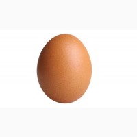 Срочно продам яйцо от производителя с 20 тонн