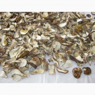 Продам сушені білі гриби