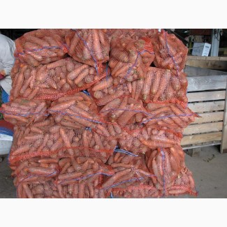 Продам морковь сорт абако