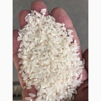 Рис килийский 36 гр