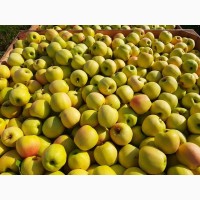 Продам Яблука (фрешовані);