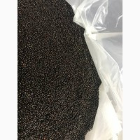 Продам насіння Амарант чорноий