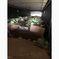 Продам капусту 6 тонн