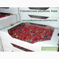 Упаковка для ягод малины, клубники, ежевики, черники и др