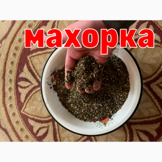 Самосад, махорка, ідеальної якості