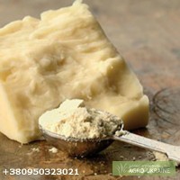 Натуральный порошок сыра производства компании ЭСТАМОЛ (Украина)