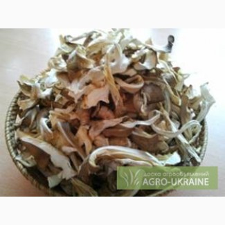 Сушеные грибы Вешенка / Грибной порошок