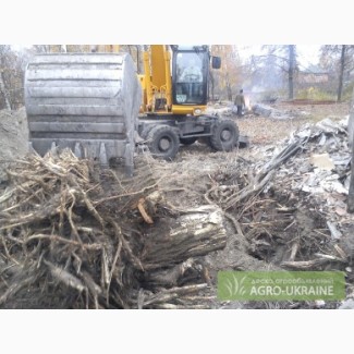 Расчистка участка от деревьев. Уборка участка Киев.