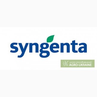 Сингента (Syngenta) семена подсолнечника от дистрибьютора