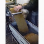 Реализуем пчеломаток украинской степной породы с племенного завода