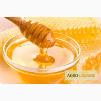 Купую мед липа акація гречка хвойна падь дорого