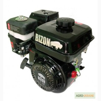 Двигатель BIZON 170F (бензин 6.5 л.с., под шпонку с 2-х руч