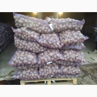Продам картоплю гарної якості! Привезену з Бфлорусії