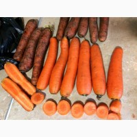Овощи картофель, лук, морковь, капуста