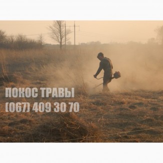 Покос бурьяна Покос травы цена Скосить, выкосить участок Киев