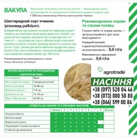 Семена ярового ячменя Вакула от компании Agrotrade