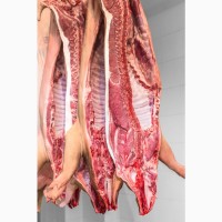 Продам свинину на кості півтуші в шкірі та обрізні