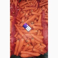 Продам морковь (мытая, шлифованная)