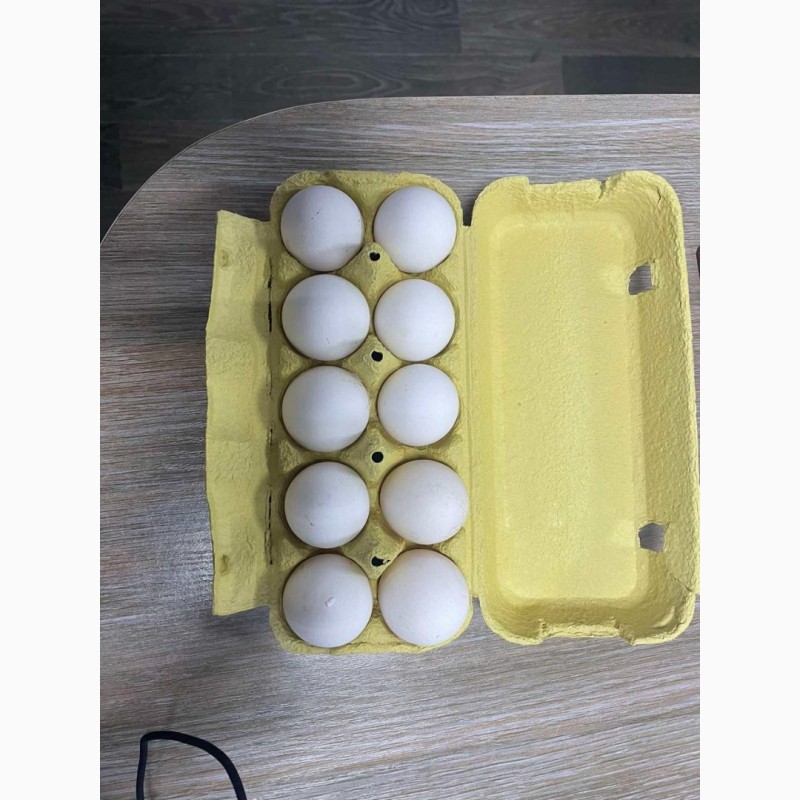 Фото 3. Яйця курячі C0-C1