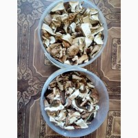 Продаются сушеные белые грибы