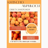 Куплю абрикос