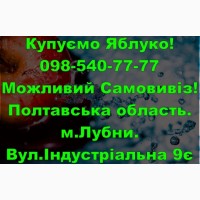 На постійній основі закуповуємо яблуко 2024року збору!Договірна Ціна