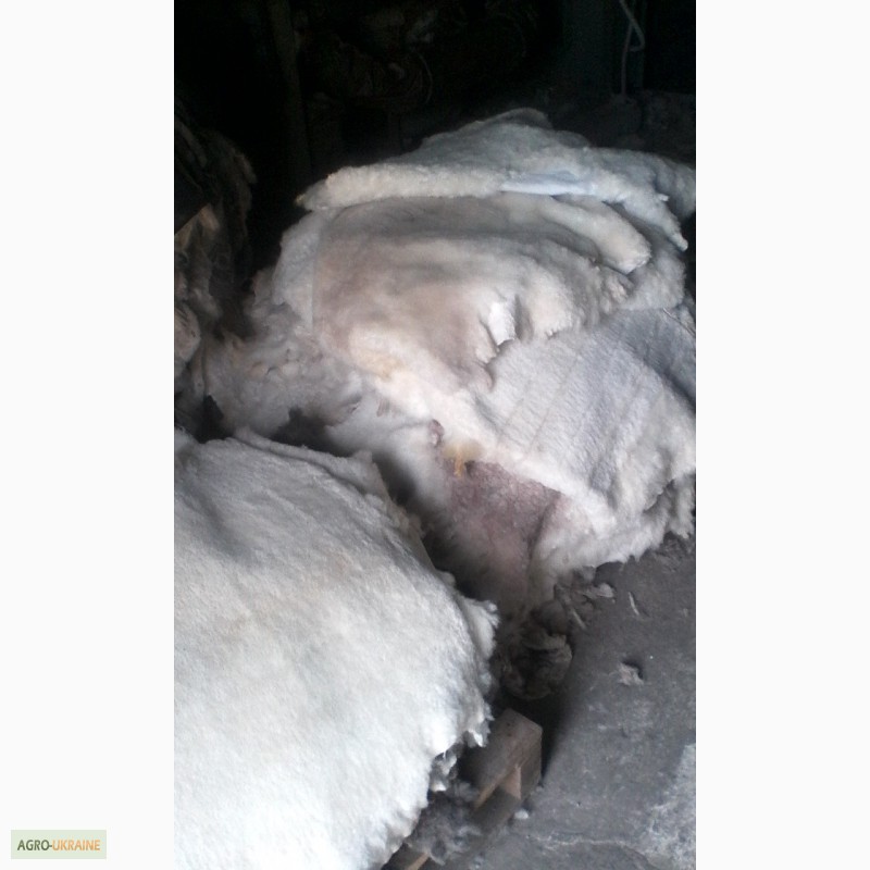 Фото 3. Продам мех натуральный овчина