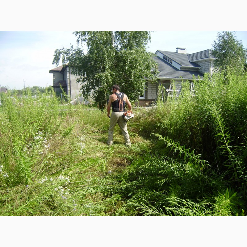 Фото 10. Покос травы Покосить траву Уборка участка