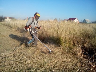 Фото 5. Покос травы Покосить траву Уборка участка