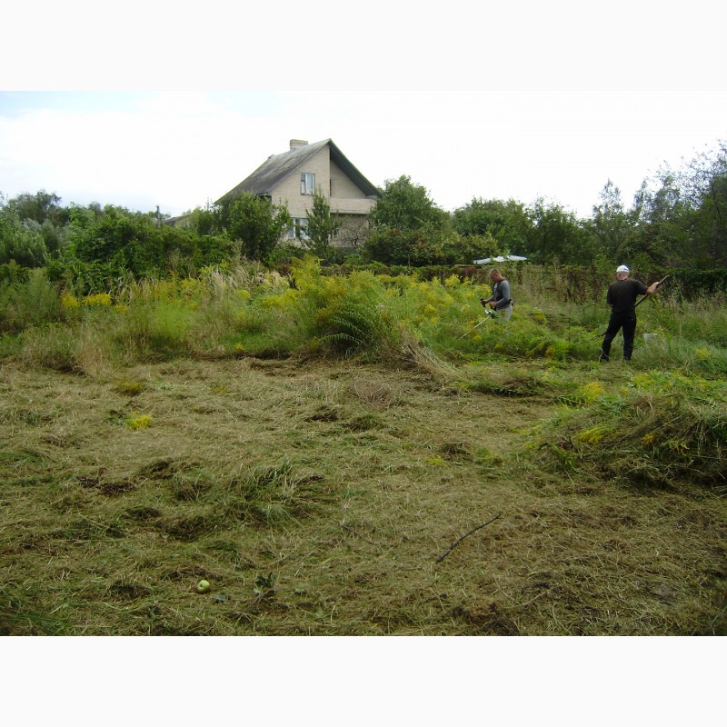 Фото 7. Покос травы Покосить траву Уборка участка