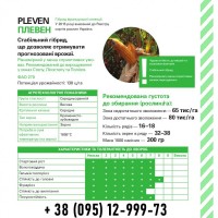 Посевной материал кукурузы урожая 2019. Плевен / Pleven ФАО 270 ( Maisadour / Майсадур )