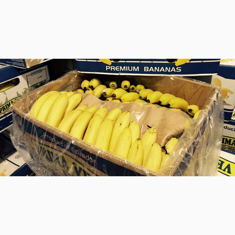 Фото 6. Банан Эквадор