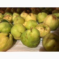 Вкуснейшие, сочные яблоки с островов Вилково. Виноград Новак