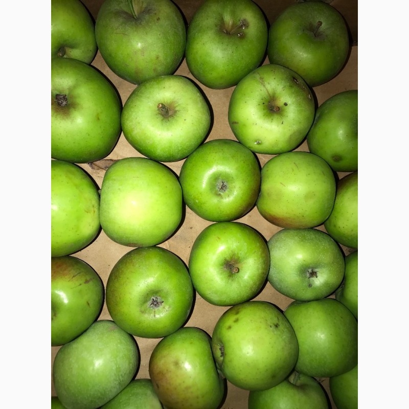 Фото 6. Вкуснейшие, сочные яблоки с островов Вилково. Виноград Новак