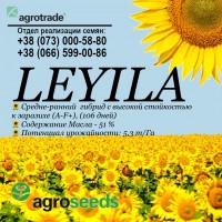 Семена подсолнечника Лейла / Leyila (106 дней), классическая технология, A-F